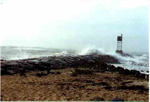 Hurricane Bonnie Waves on West Jetty.jpg (10812 bytes)